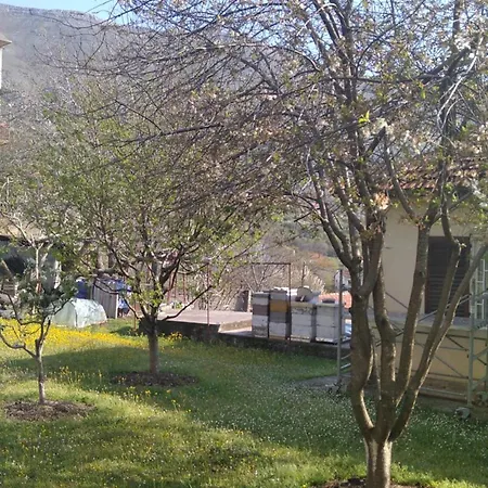 Ananda Trebinje