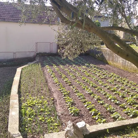 Apartman Ananda