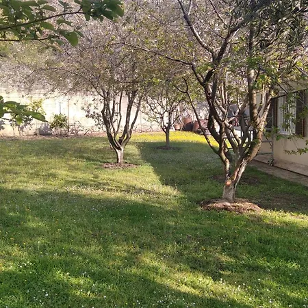 Ananda * Trebinje